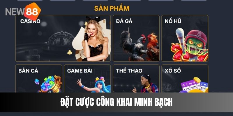 Đặt cược công khai minh bạch