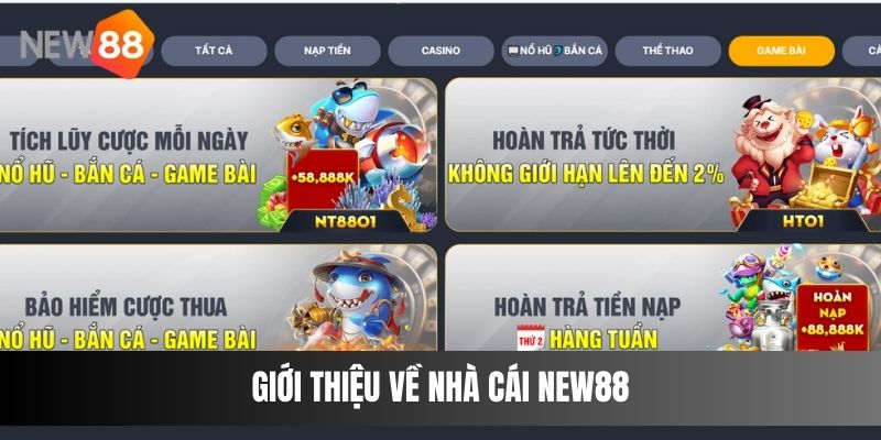 Giới thiệu về nhà cái NEW88